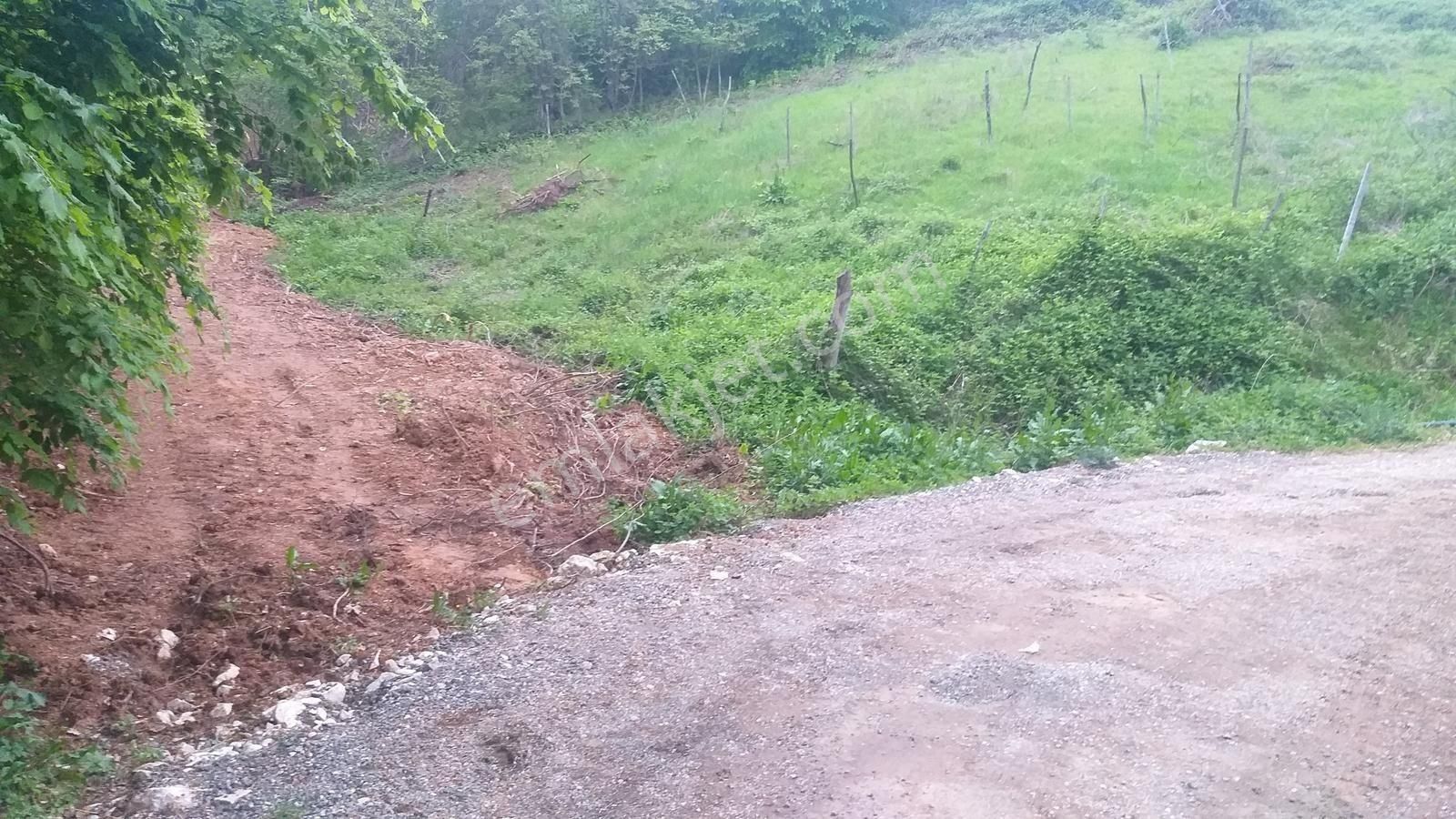 Bursa Kestel Lütfiye Mah Ahududuekili Satılık 1674m2 Hobibahçesi - Görsel 15