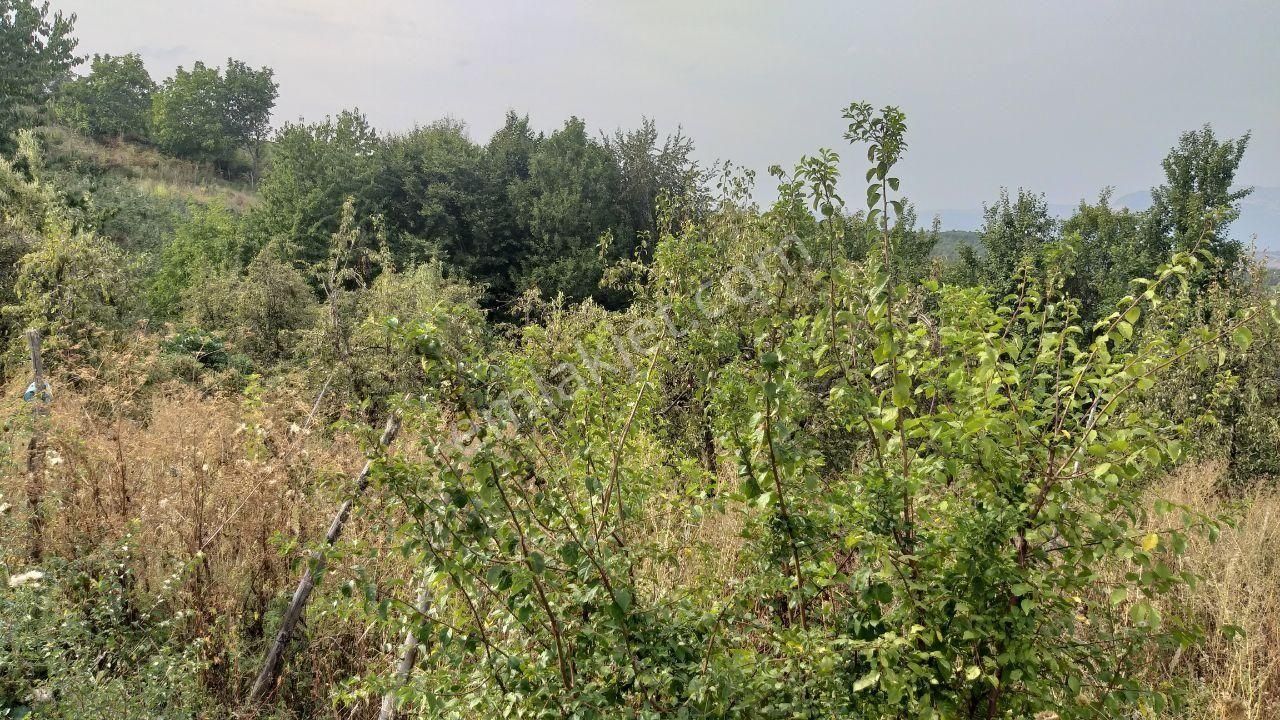 Bursa Kestel Lütfiye Mah Ahududuekili Satılık 1674m2 Hobibahçesi - Görsel 11