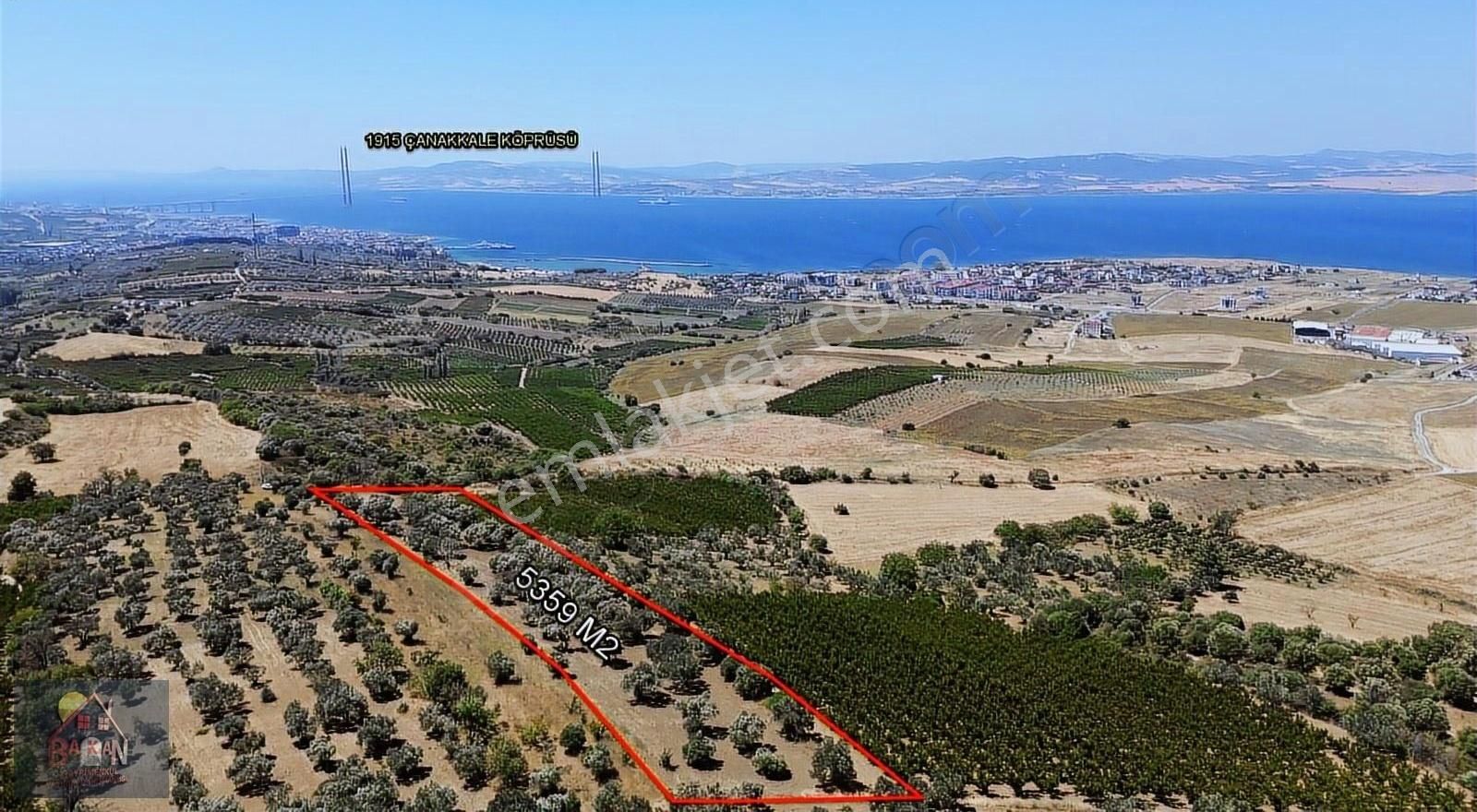 Boğaz Manzaralı İmara Yakın Kadastral Yolu Olan Tarla Satılık - Görsel 5