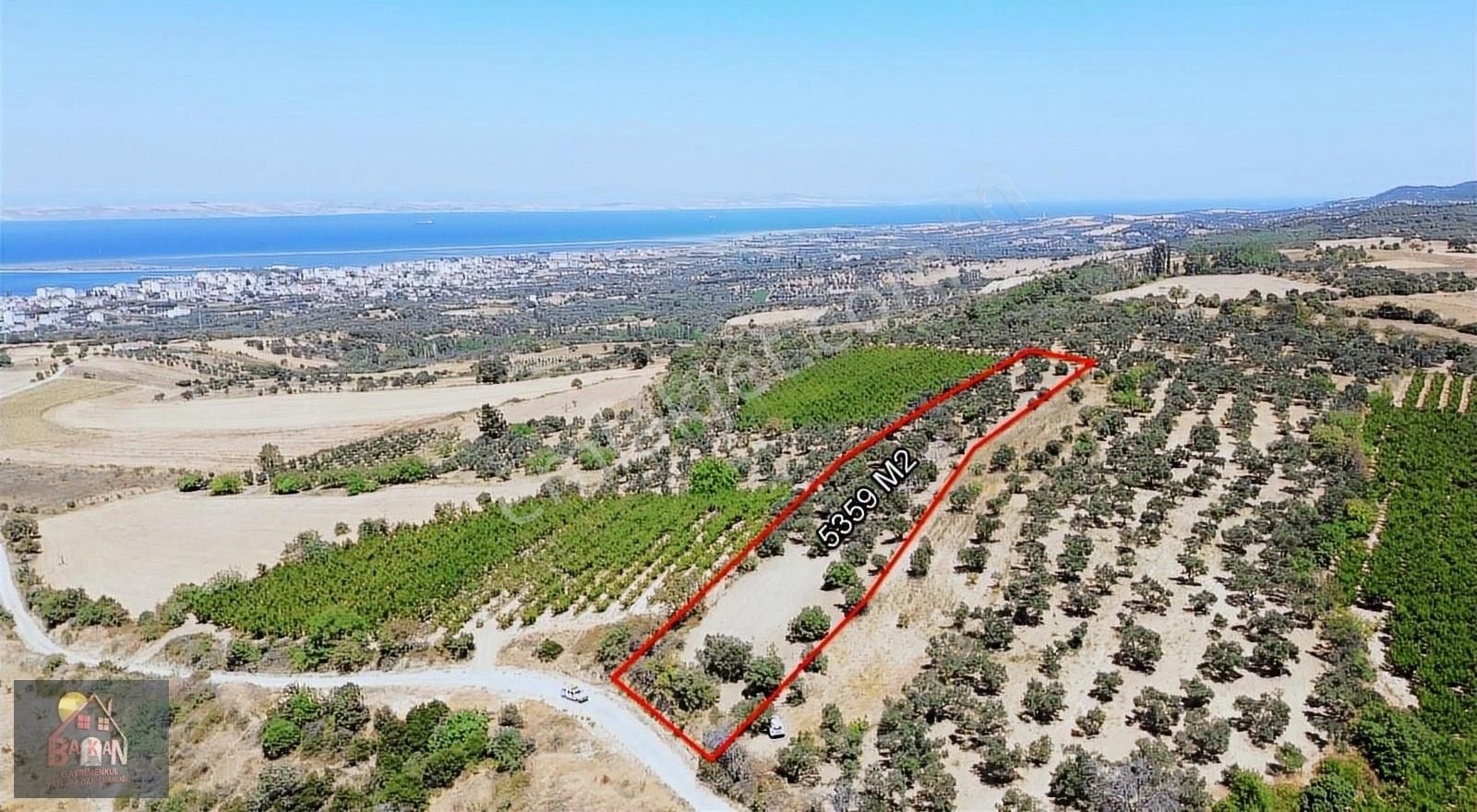 Boğaz Manzaralı İmara Yakın Kadastral Yolu Olan Tarla Satılık - Görsel 4