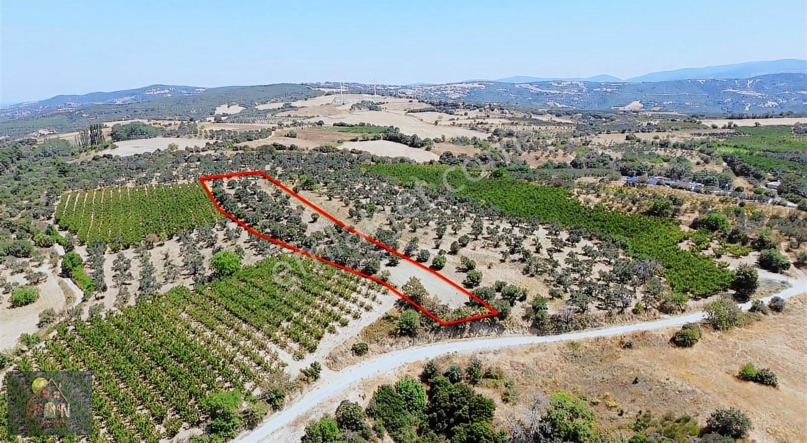 Boğaz Manzaralı İmara Yakın Kadastral Yolu Olan Tarla Satılık - Görsel 6