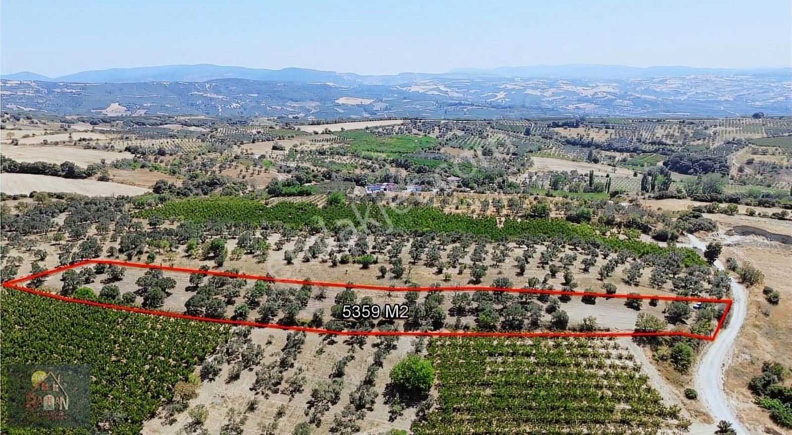 Boğaz Manzaralı İmara Yakın Kadastral Yolu Olan Tarla Satılık - Görsel 3