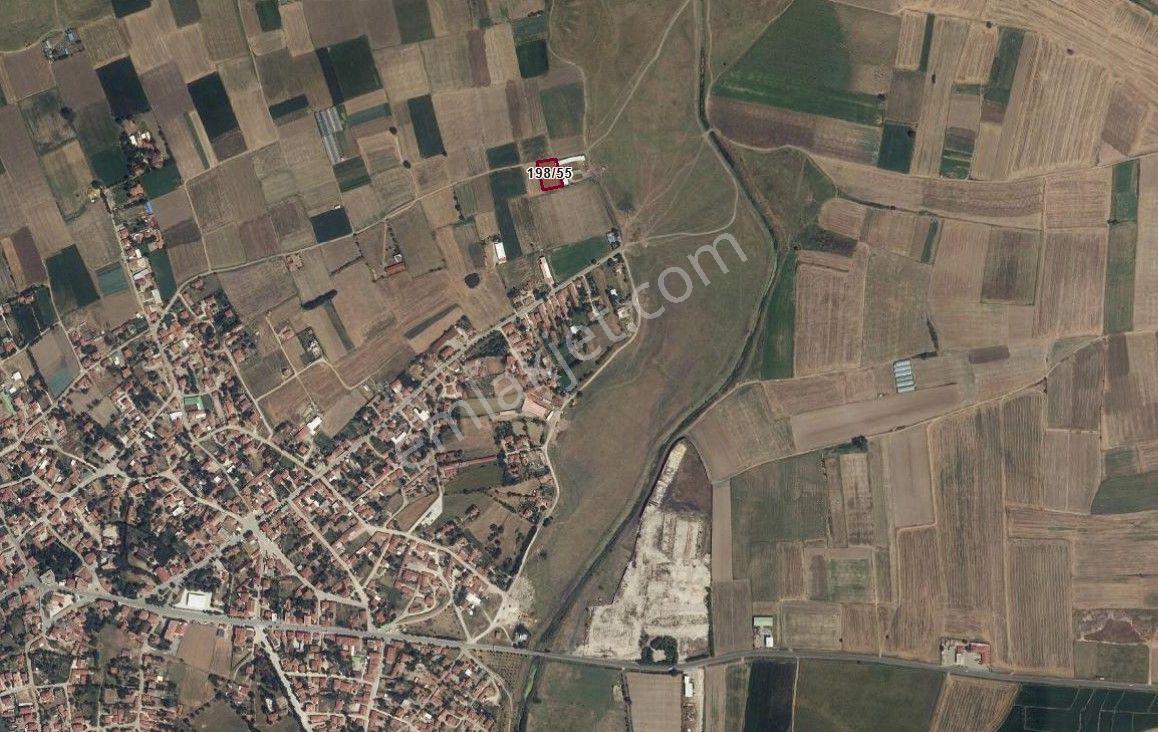 Goldhouse Dan Satılık Kırklareli Büyükmandıra Da Tarla - Görsel 3