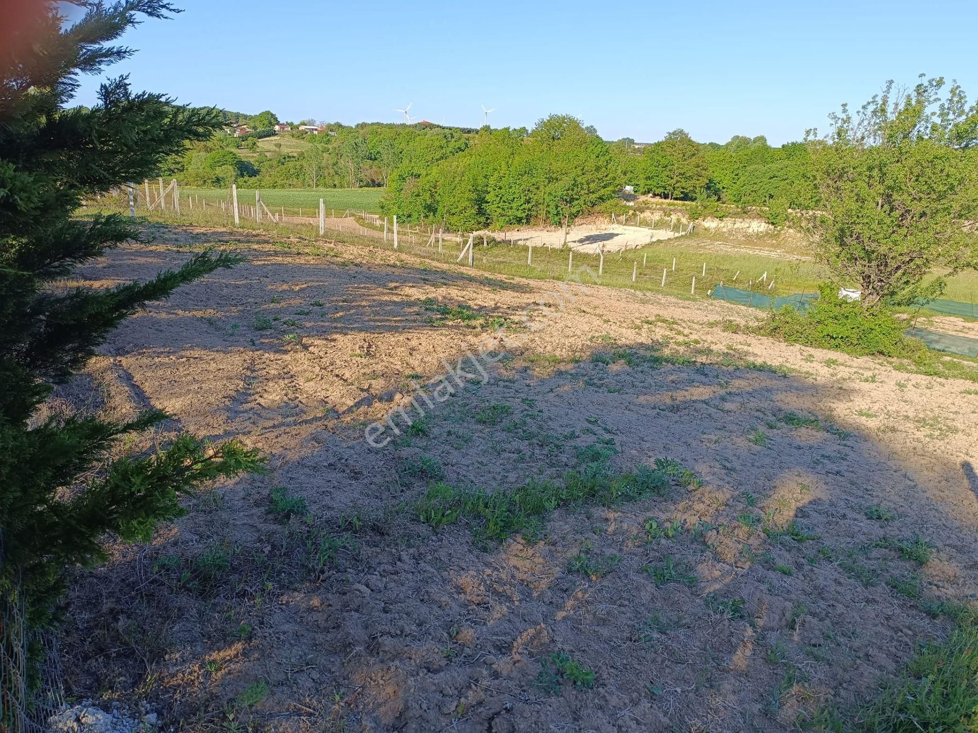 Silivri Sayalar Köyü 500 M2 Satılık Arsa