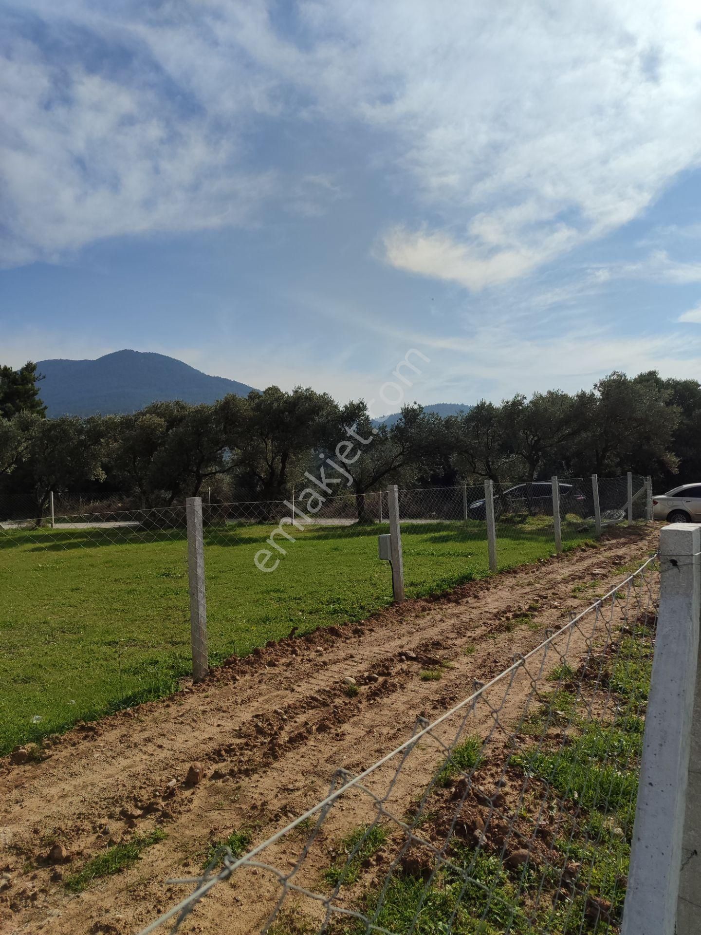 Kaya Emlak'tan Kemalpaşa Vişneli Köyü Yakınında Acil Satılık 450 Metre Kare Bahçe - Görsel 12