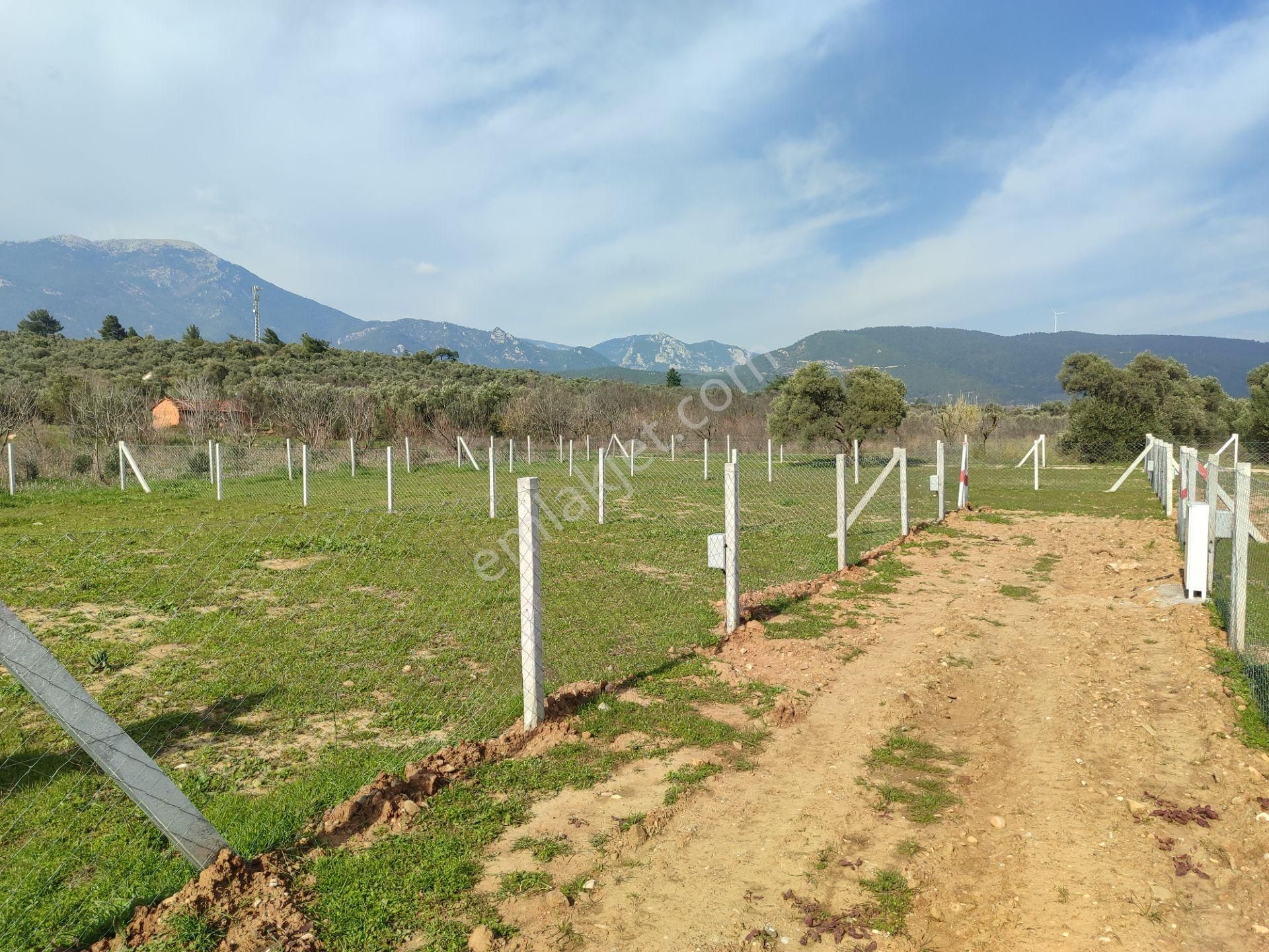 Kaya Emlak'tan Kemalpaşa Vişneli Köyü Yakınında Acil Satılık 450 Metre Kare Bahçe - Görsel 6