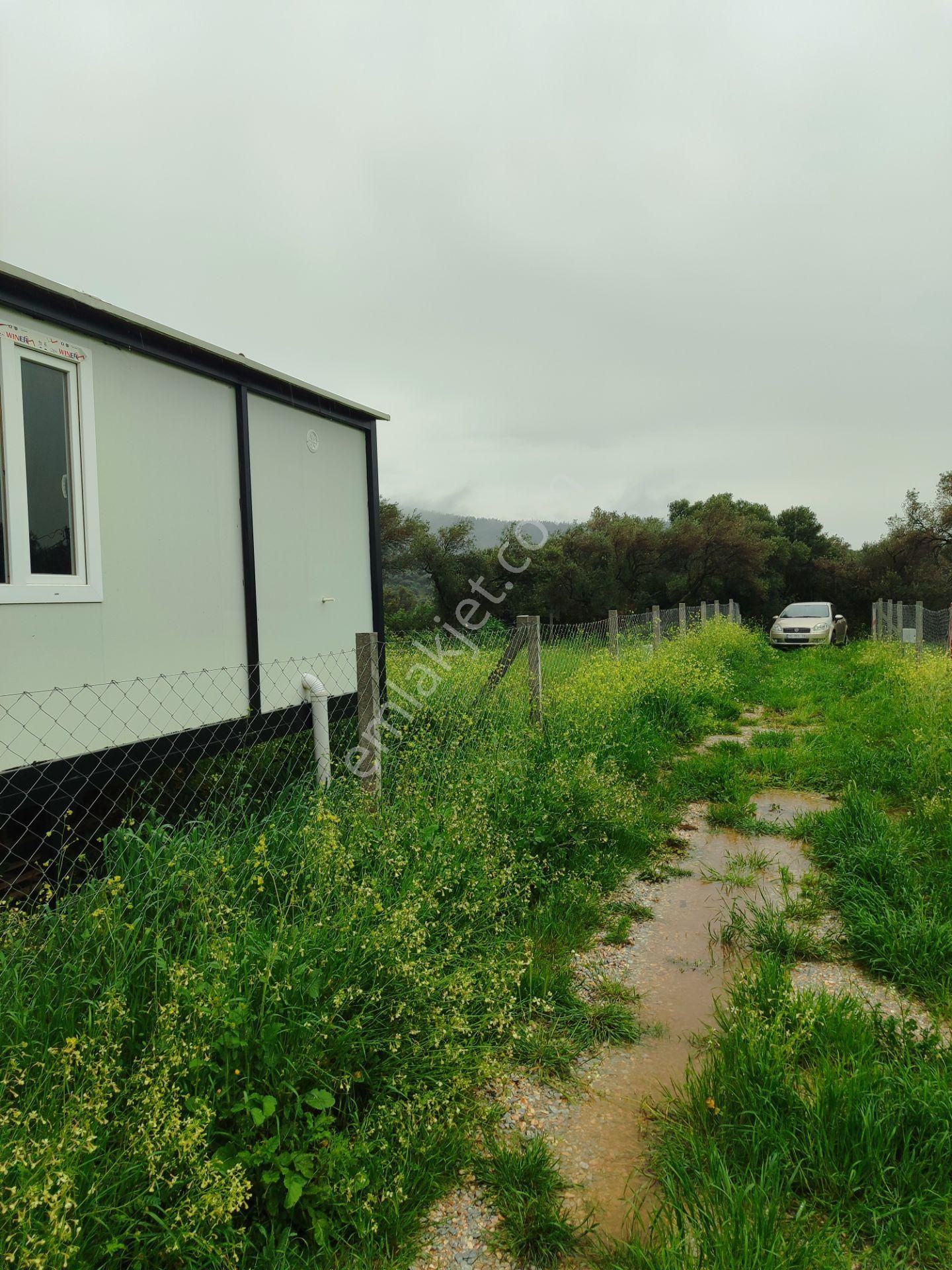 Kaya Emlak'tan Kemalpaşa Vişneli Köyü Yakınında Acil Satılık 450 Metre Kare Bahçe - Görsel 13
