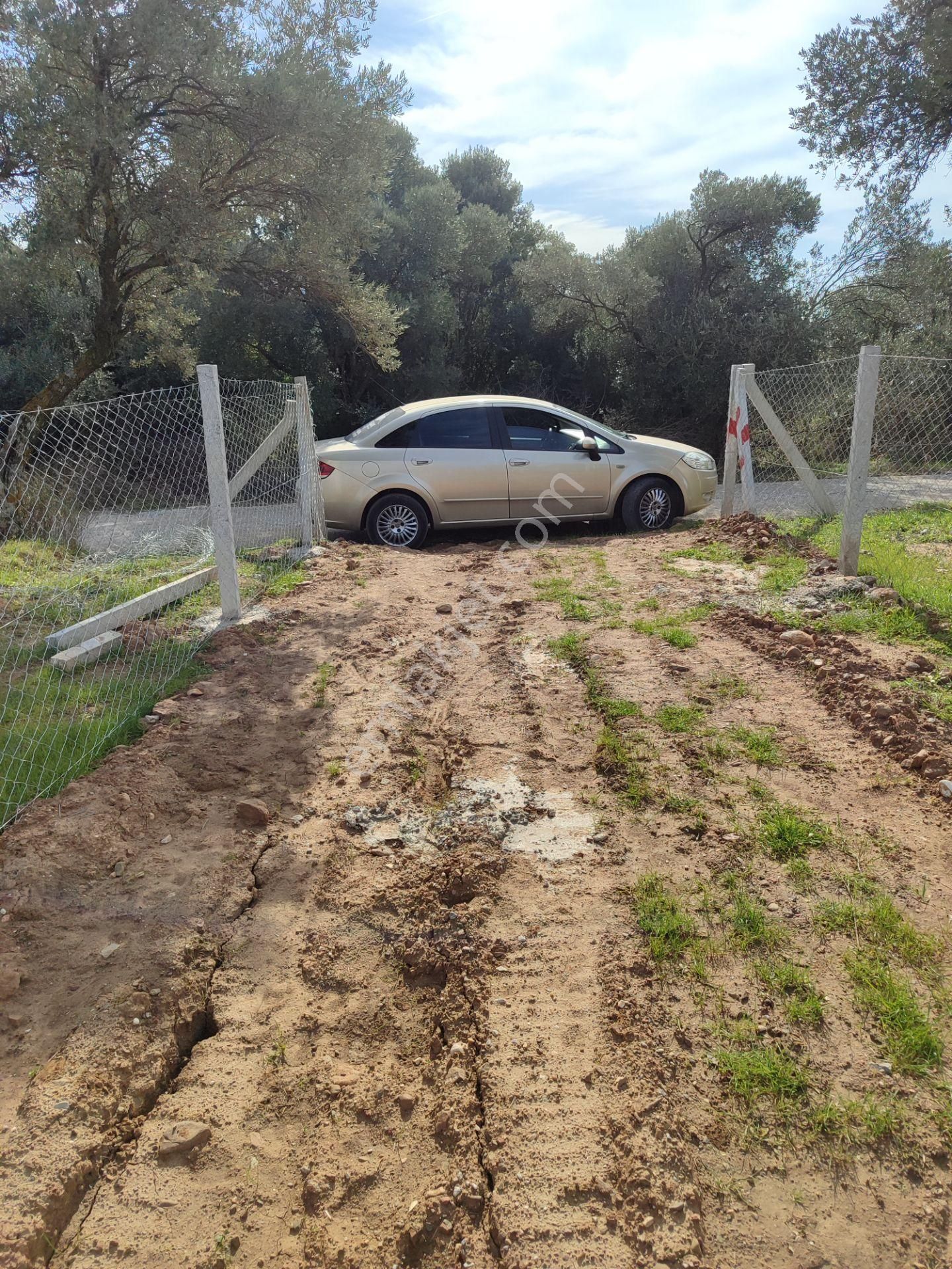 Kaya Emlak'tan Kemalpaşa Vişneli Köyü Yakınında Acil Satılık 450 Metre Kare Bahçe - Görsel 3