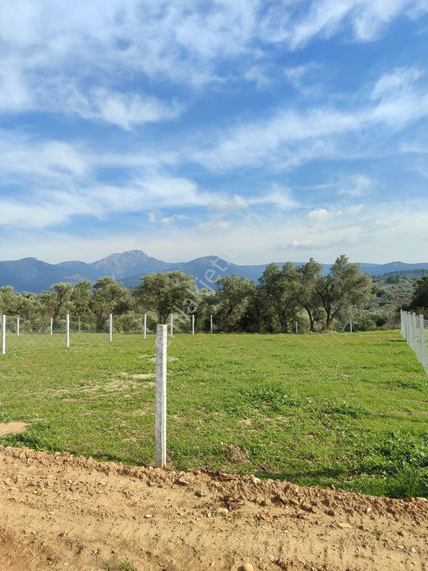 Kaya Emlak'tan Kemalpaşa Vişneli Köyü Yakınında Acil Satılık 450 Metre Kare Bahçe - Görsel 5