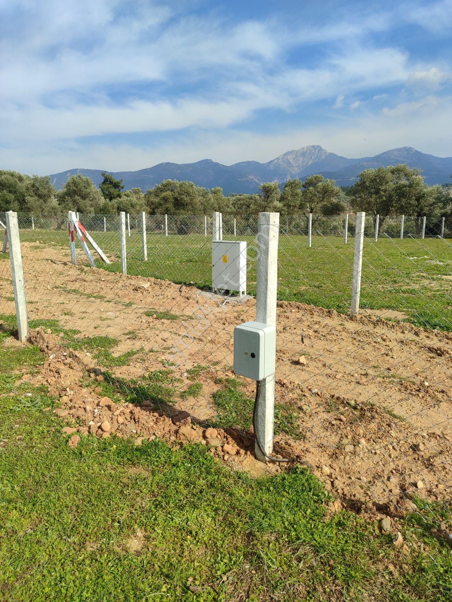 Kaya Emlak'tan Kemalpaşa Vişneli Köyü Yakınında Acil Satılık 450 Metre Kare Bahçe - Görsel 8