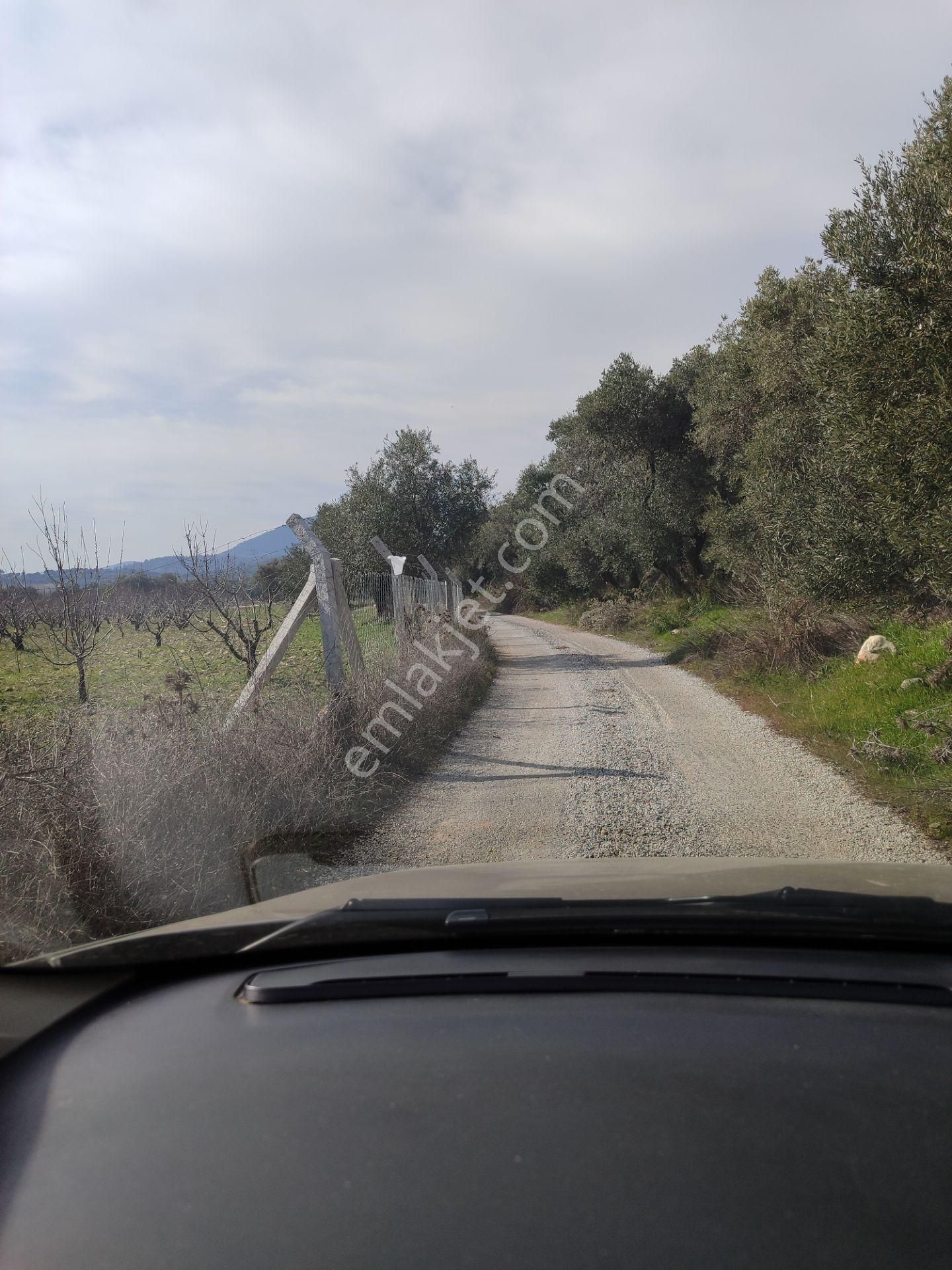 Kaya Emlak'tan Kemalpaşa Vişneli Köyü Yakınında Acil Satılık 450 Metre Kare Bahçe - Görsel 14