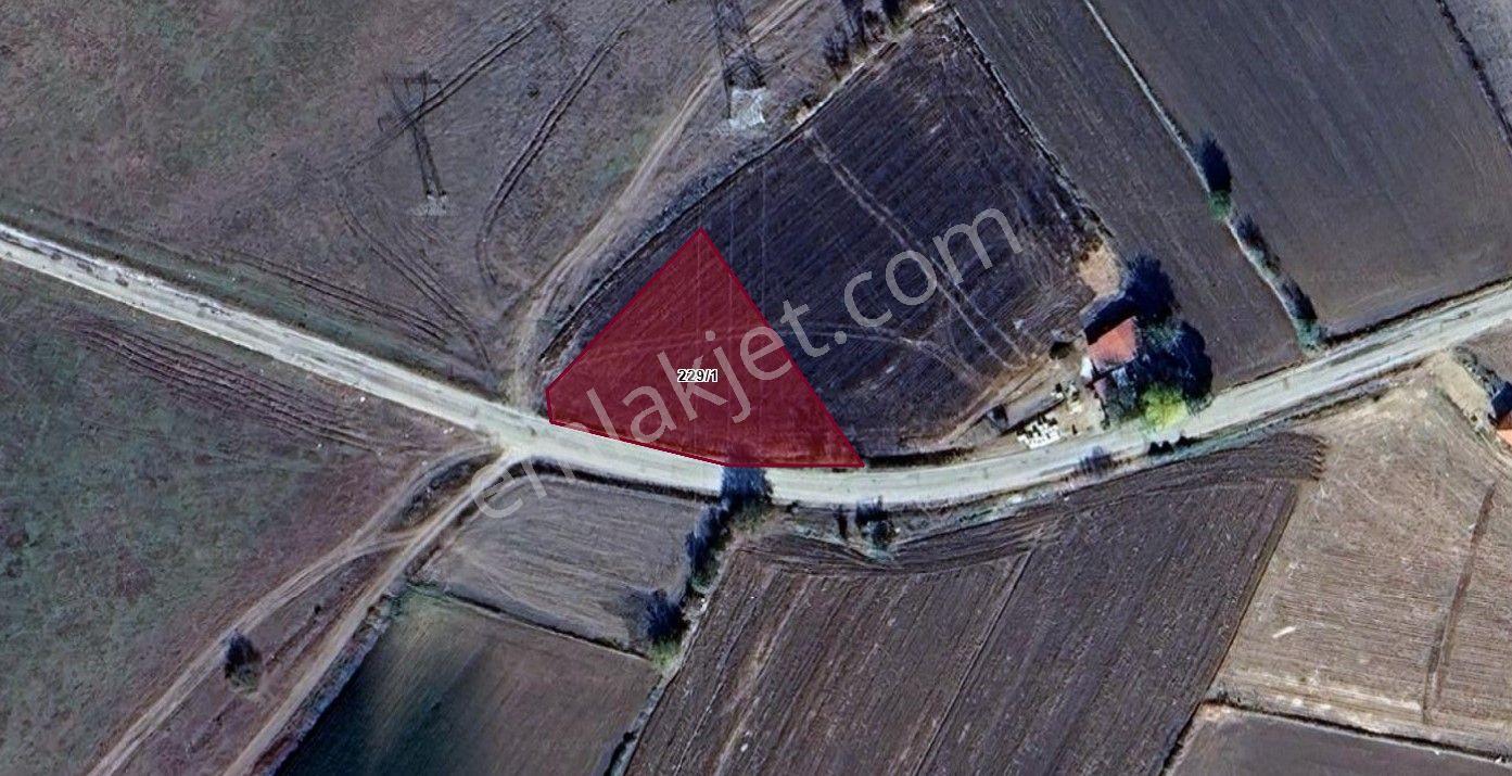Goldhouse Dan Satılık Kırklareli Babaeski De Ana Cadde Üzeri Tarla - Görsel 3
