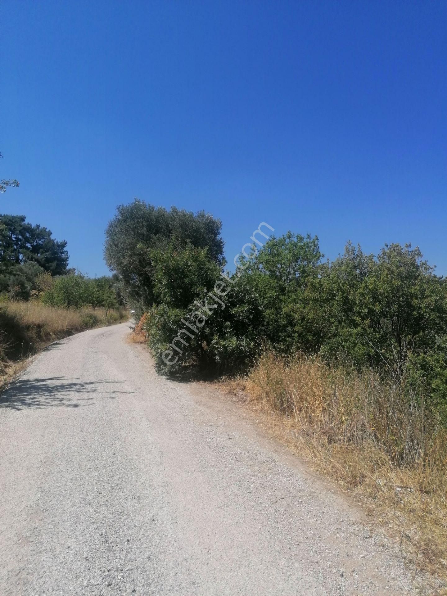 Kaya Emlak'tan Kemalpaşanın Merkezine Çok Yakın Acil Satılık Bahçe - Görsel 9