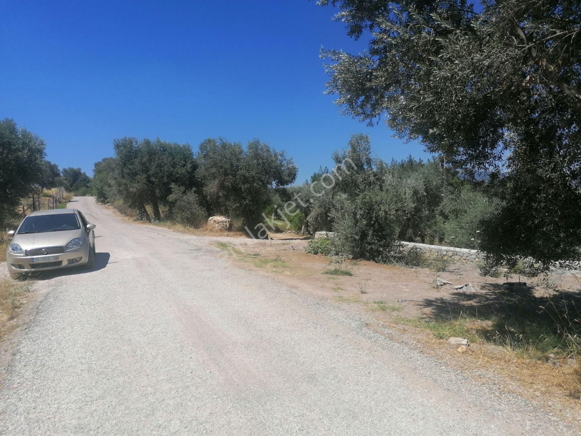 Kaya Emlak'tan Kemalpaşanın Merkezine Çok Yakın Acil Satılık Bahçe - Görsel 6