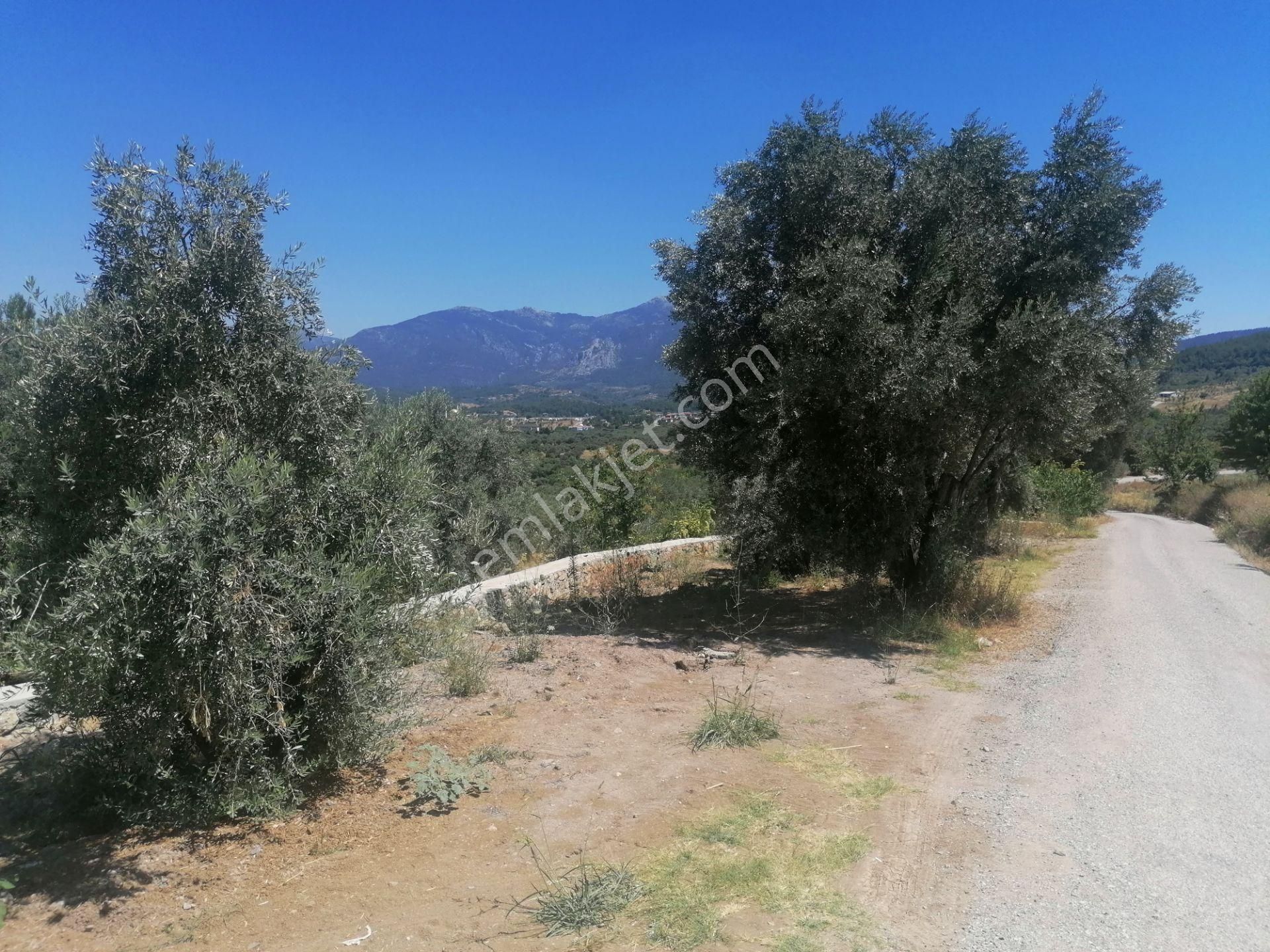 Kaya Emlak'tan Kemalpaşanın Merkezine Çok Yakın Acil Satılık Bahçe - Görsel 8