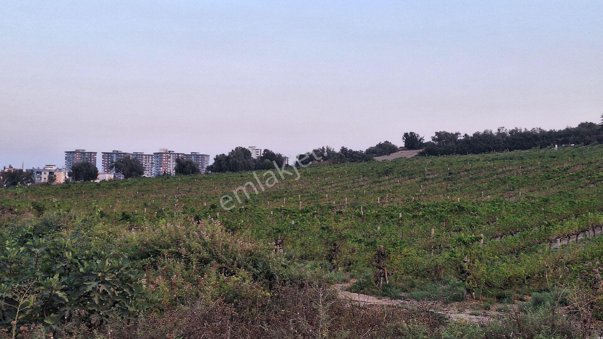 İmarlı İncirlikuyu Otoban Kenarı