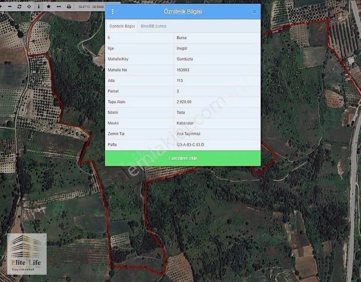 Bursa İnegöl Gündüzlü De 2.920 M2 Müstakil Tek Tapu Tarla - Görsel 2