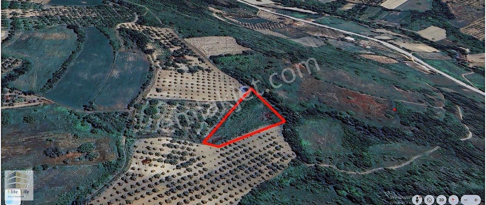 Bursa İnegöl Gündüzlü De 2.920 M2 Müstakil Tek Tapu Tarla - Görsel 3