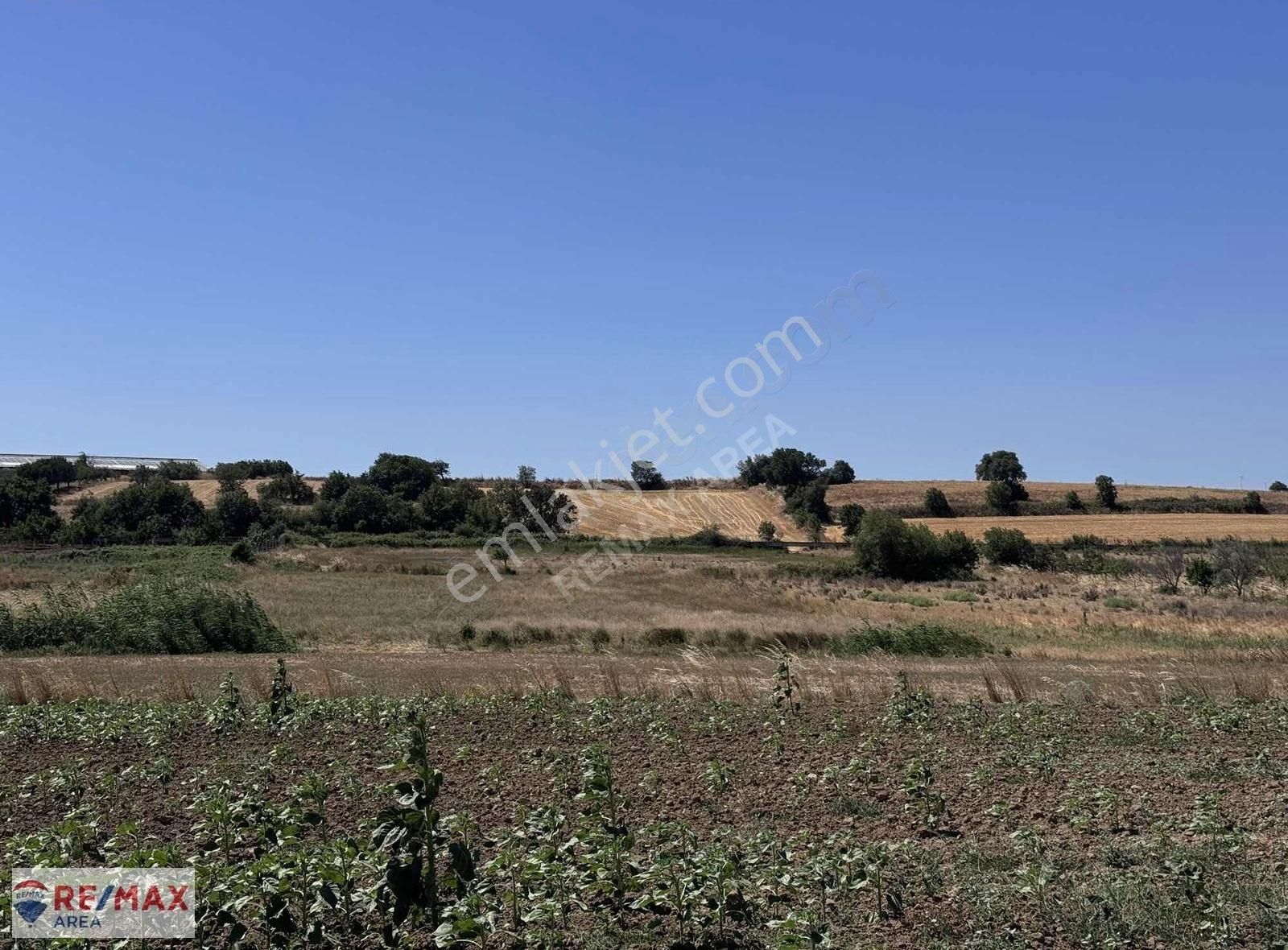 Remax Area Dan Seyran Da Köye Yakın Satılık 3150 M2 Fırsat Tarla - Görsel 4