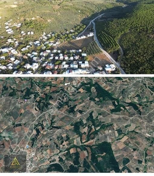 Aksiyon Dan Mudanya, Hançerli De Yolu Olan Yatırıma Uygun Tarla