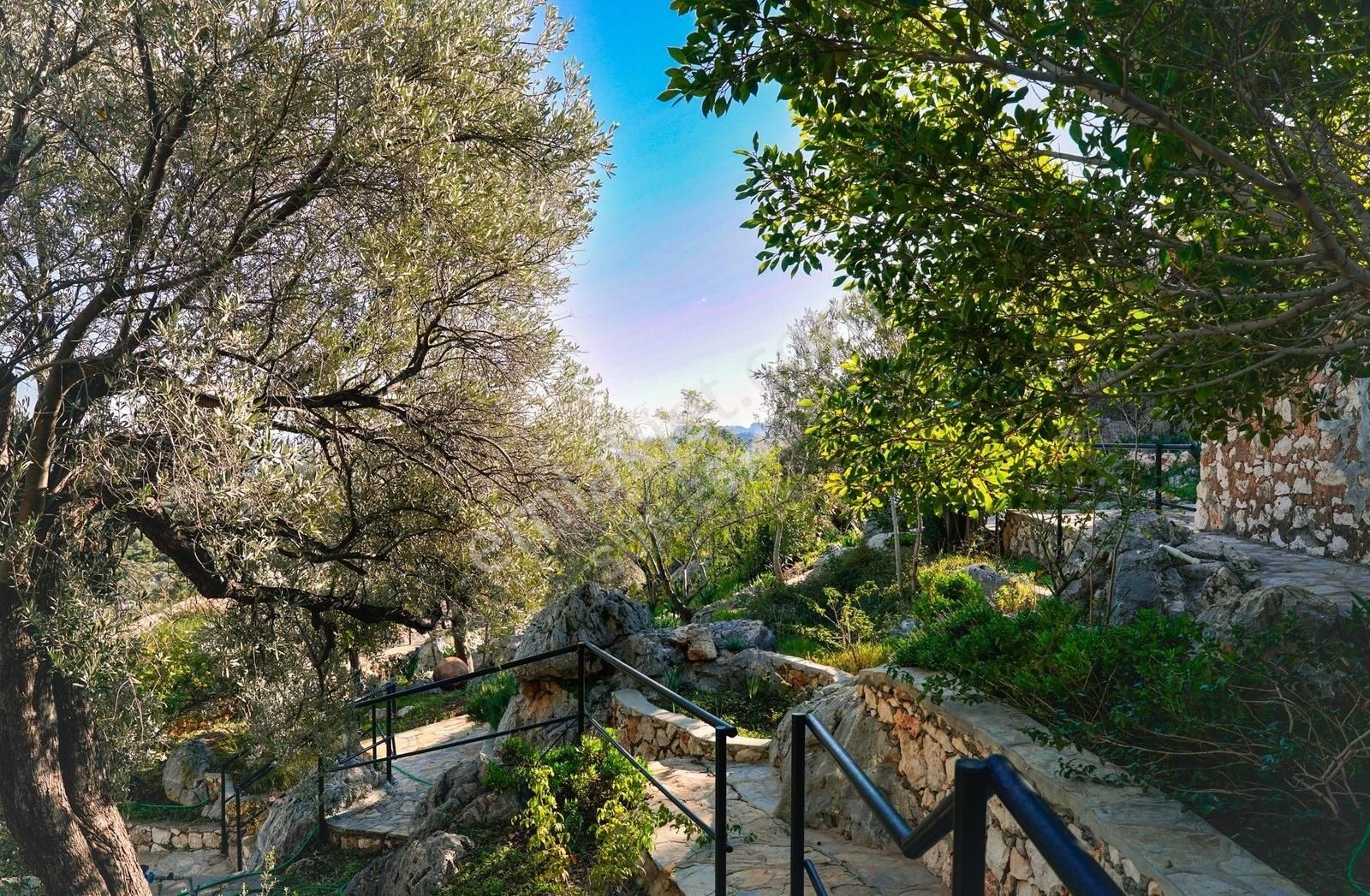 Gökçe Ören Göksekide Müstakil Bahçeli Köy Evi - Görsel 14