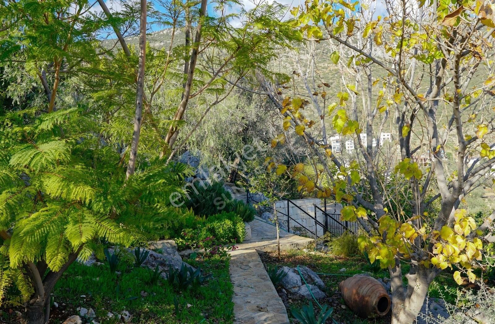 Gökçe Ören Göksekide Müstakil Bahçeli Köy Evi - Görsel 18