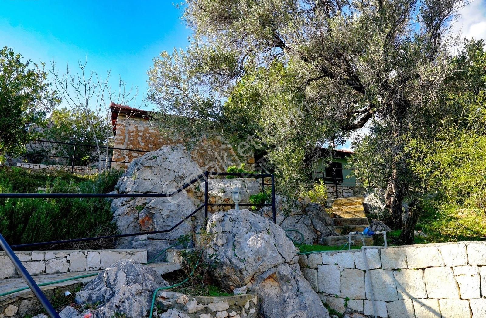 Gökçe Ören Göksekide Müstakil Bahçeli Köy Evi - Görsel 15