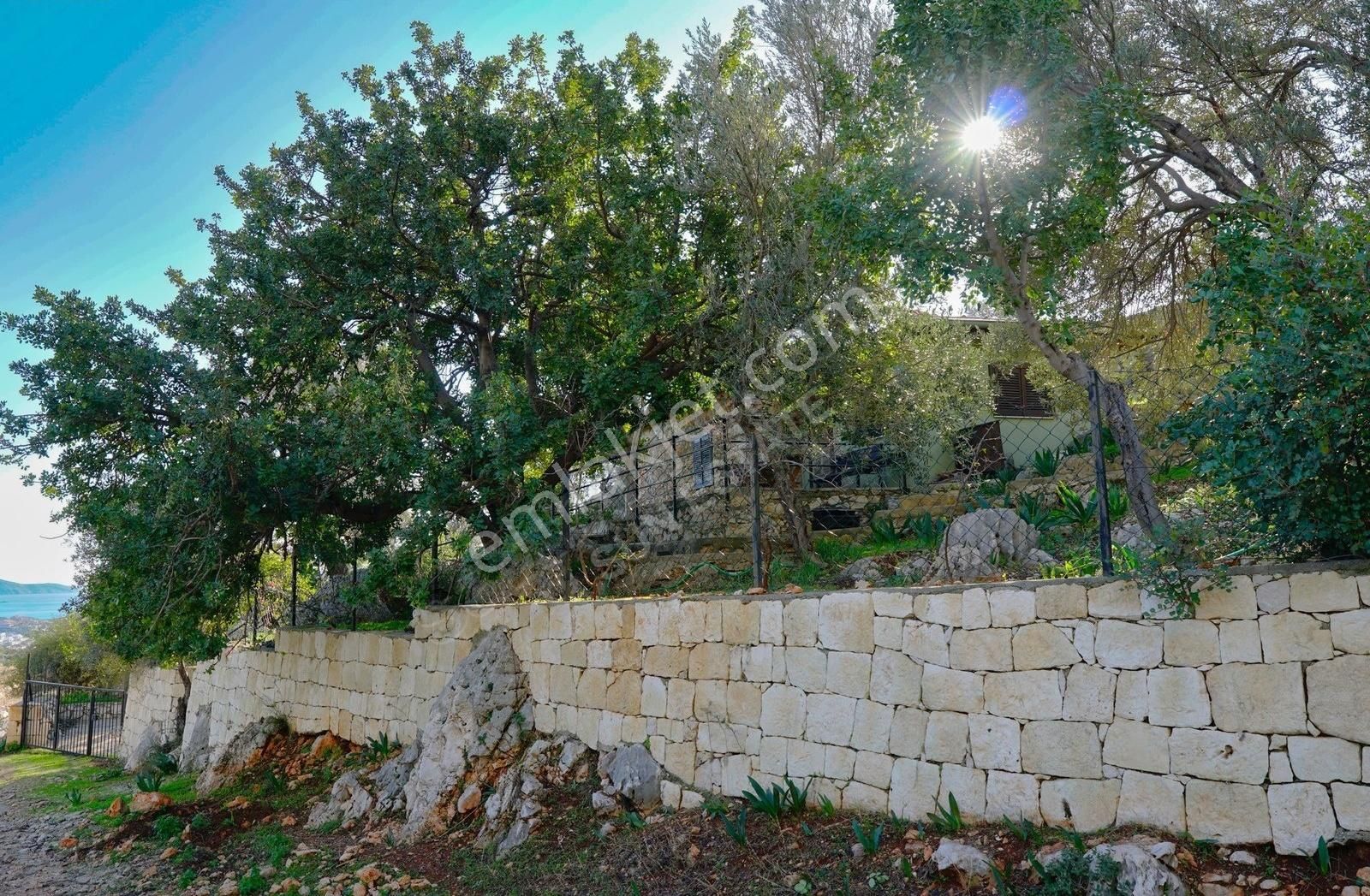 Gökçe Ören Göksekide Müstakil Bahçeli Köy Evi - Görsel 27