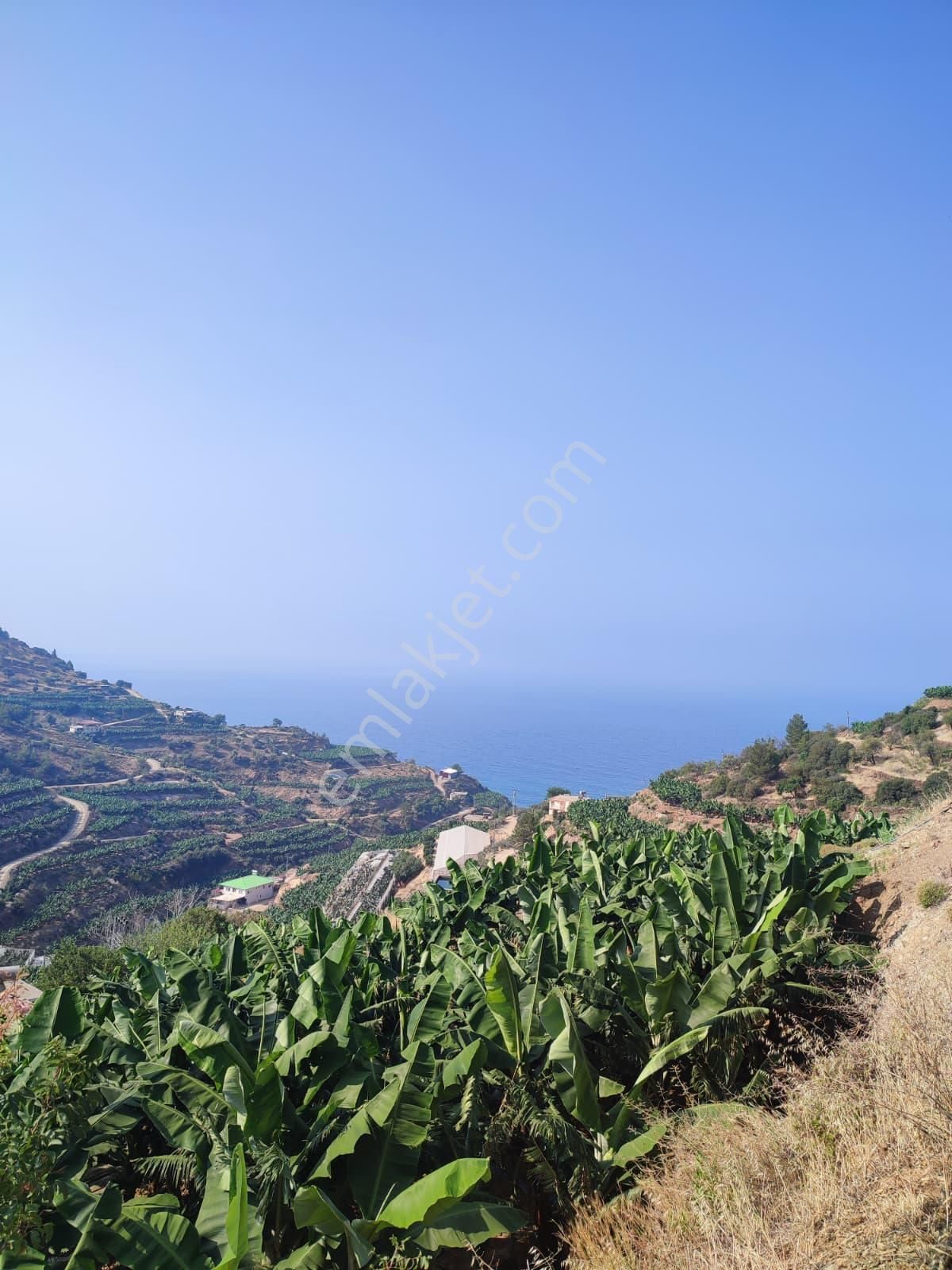 Anchor Gayrimenkul'den Uçarı Mahallesin'de Satılık Deniz Manzaralı Tarla