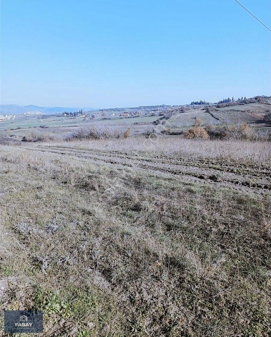 Fabay'dan Kemalpaşa Boğazköyde 8.050 M2 Satılık Tarla