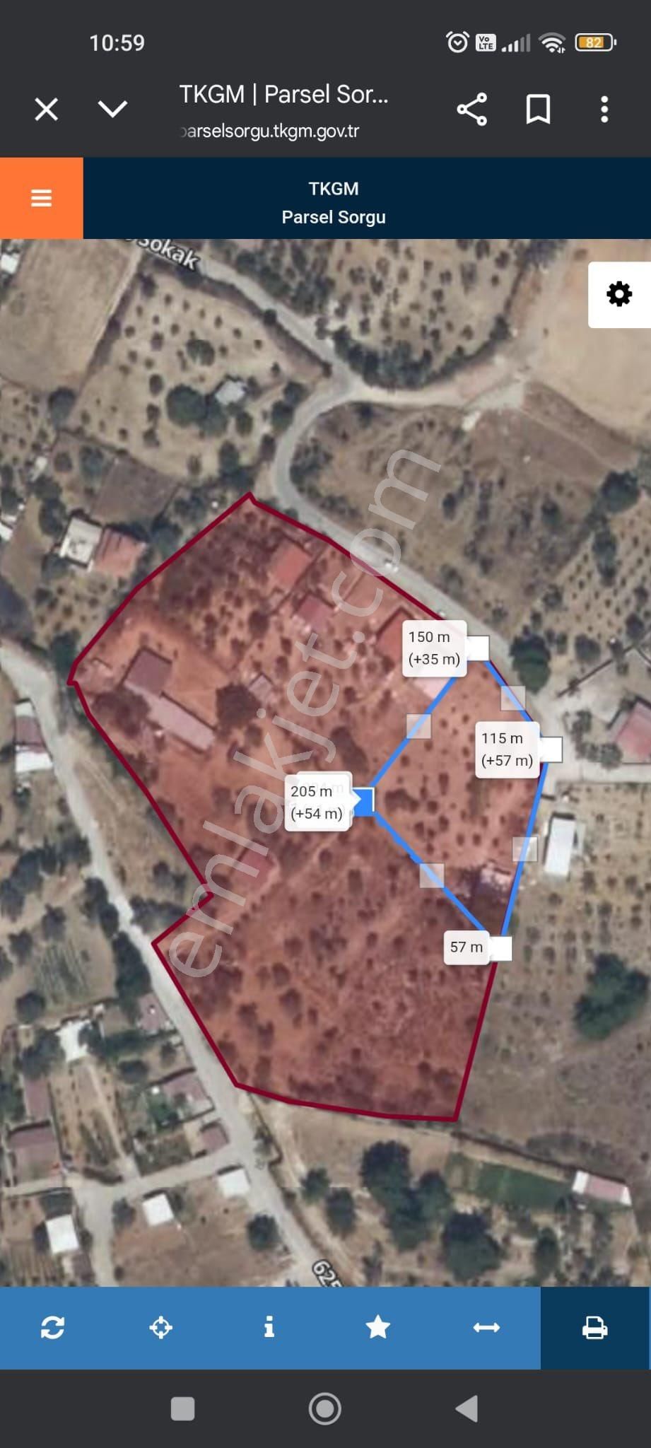 Acil Satılık Zeytinlik - Görsel 4