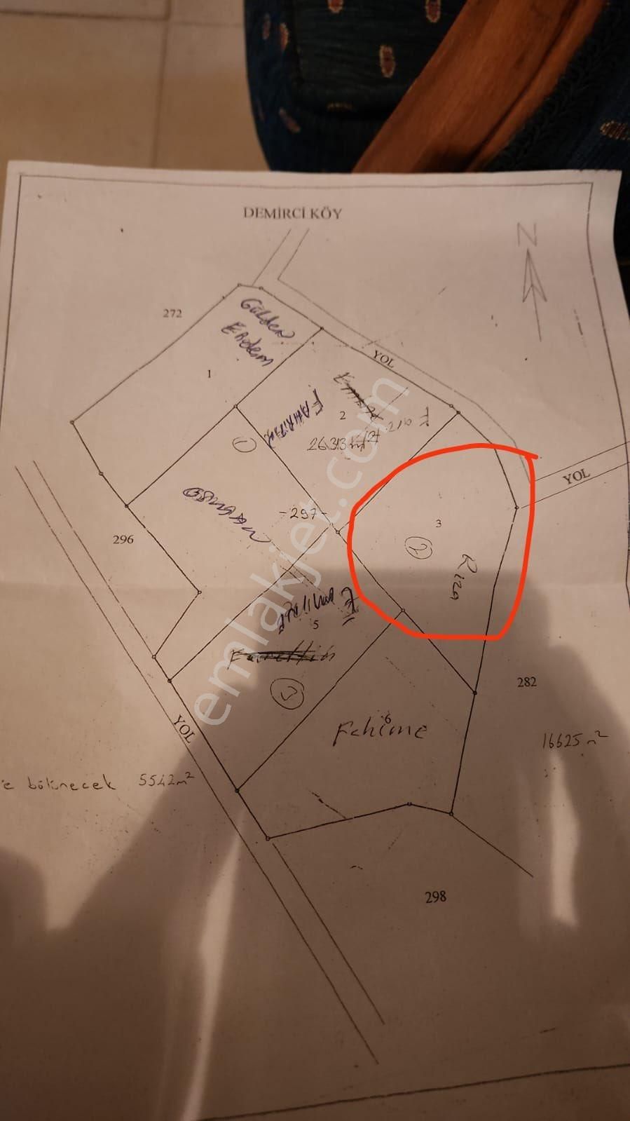 Acil Satılık Zeytinlik - Görsel 5