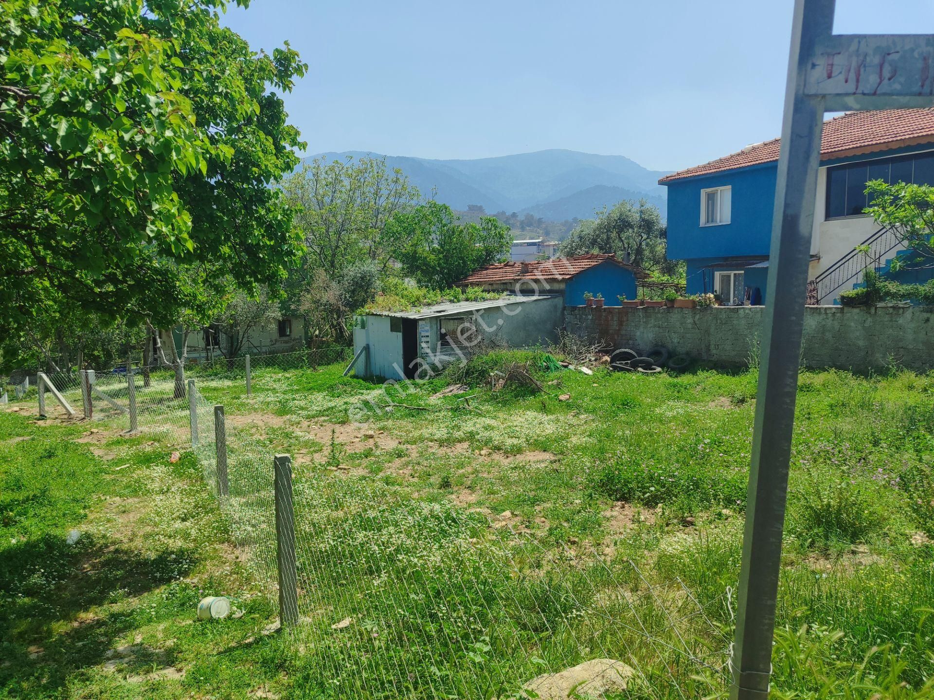 Kemalpaşa Armutlu Merkezine Çok Yakın Acil Satılık Bahçe - Görsel 4