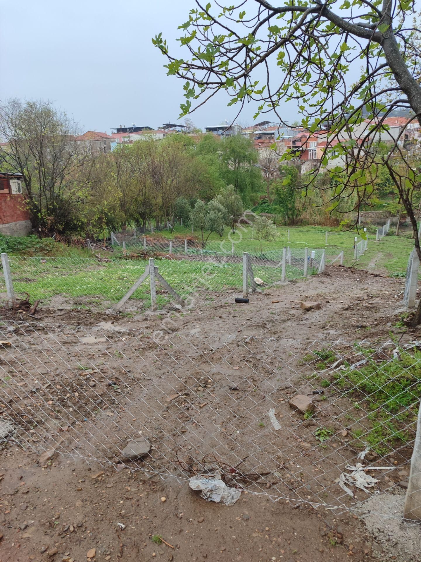 Kemalpaşa Armutlu Merkezine Çok Yakın Acil Satılık Bahçe - Görsel 3