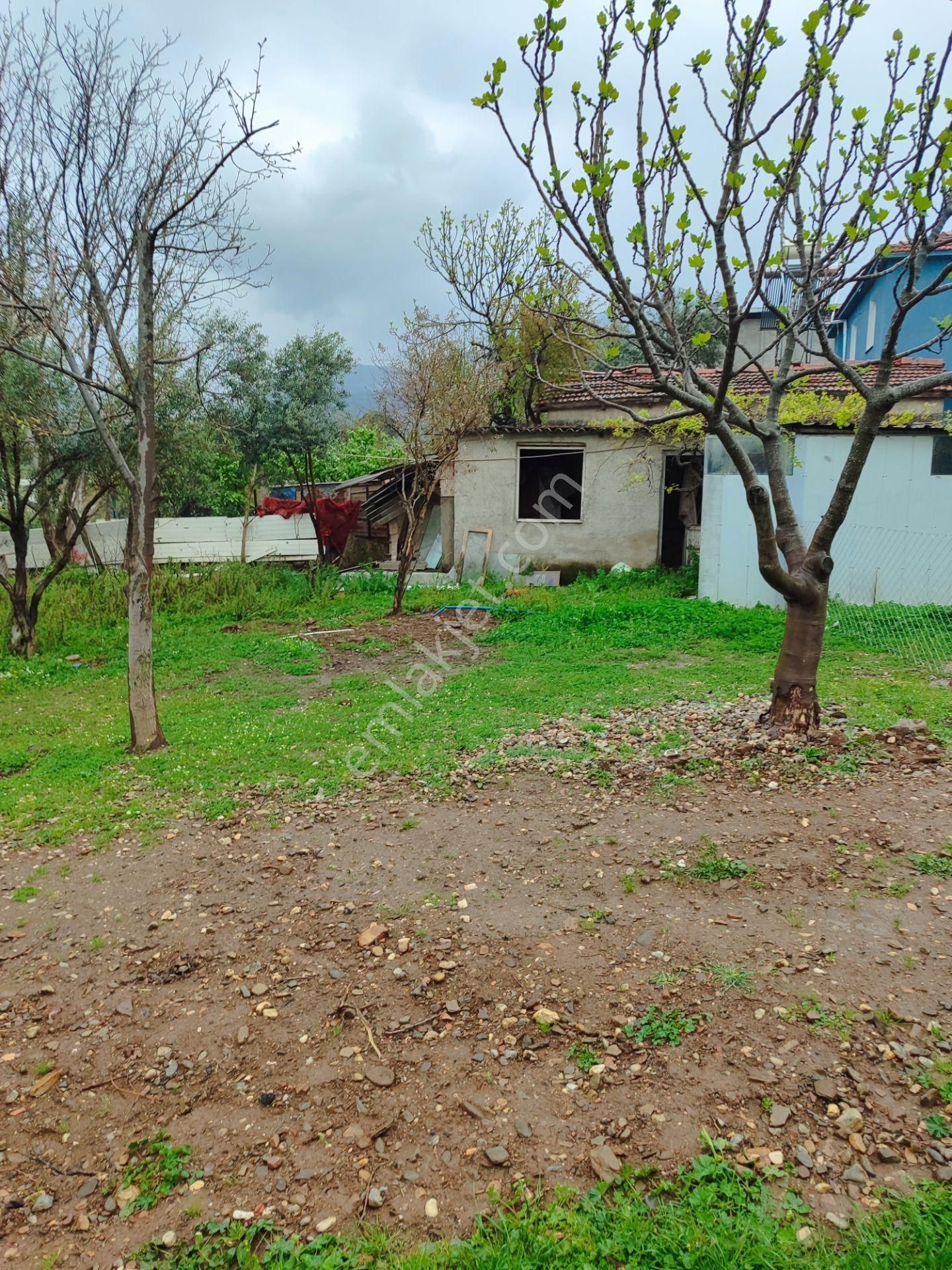 Kemalpaşa Armutlu Merkezine Çok Yakın Acil Satılık Bahçe - Görsel 6