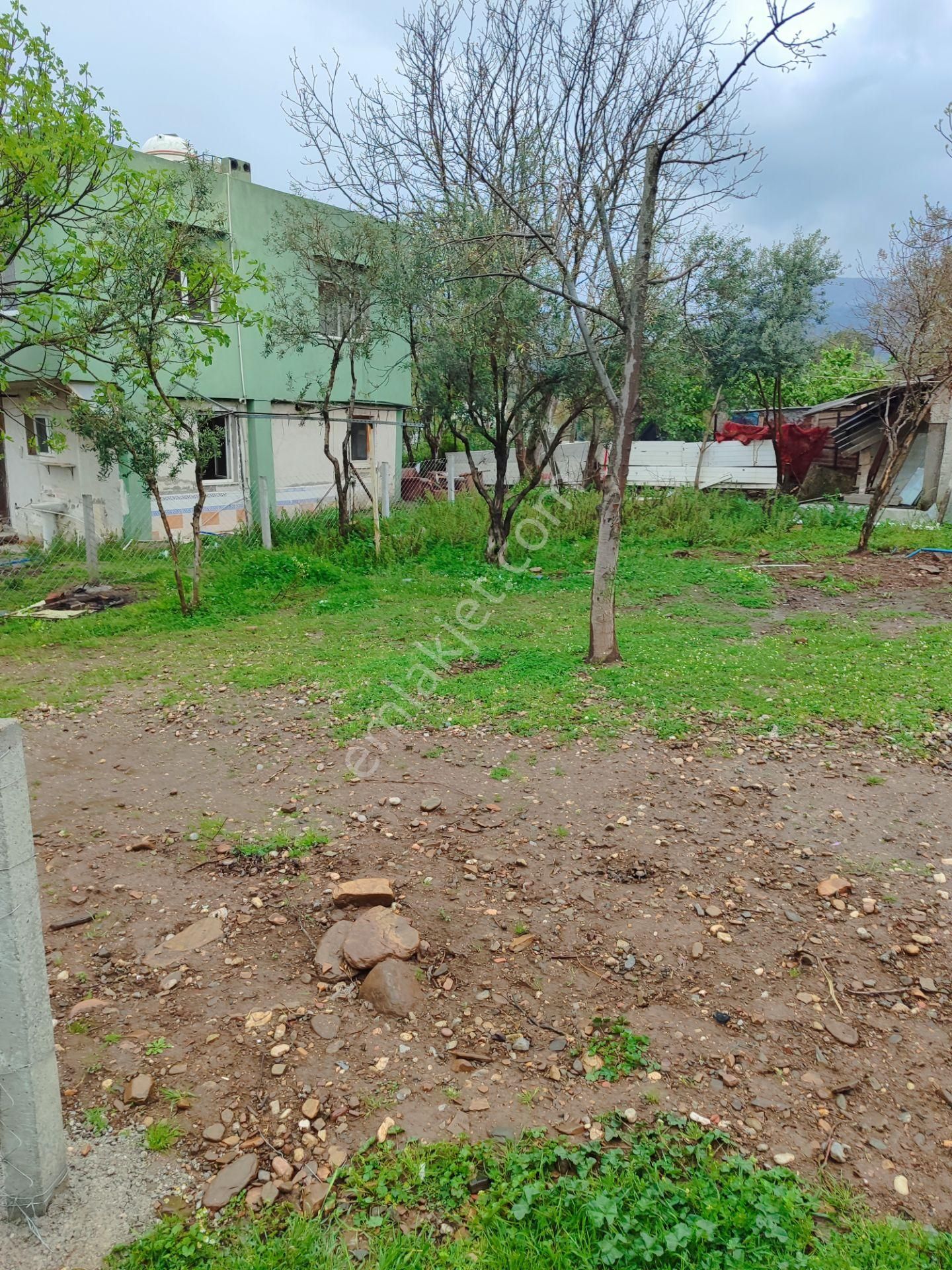 Kemalpaşa Armutlu Merkezine Çok Yakın Acil Satılık Bahçe