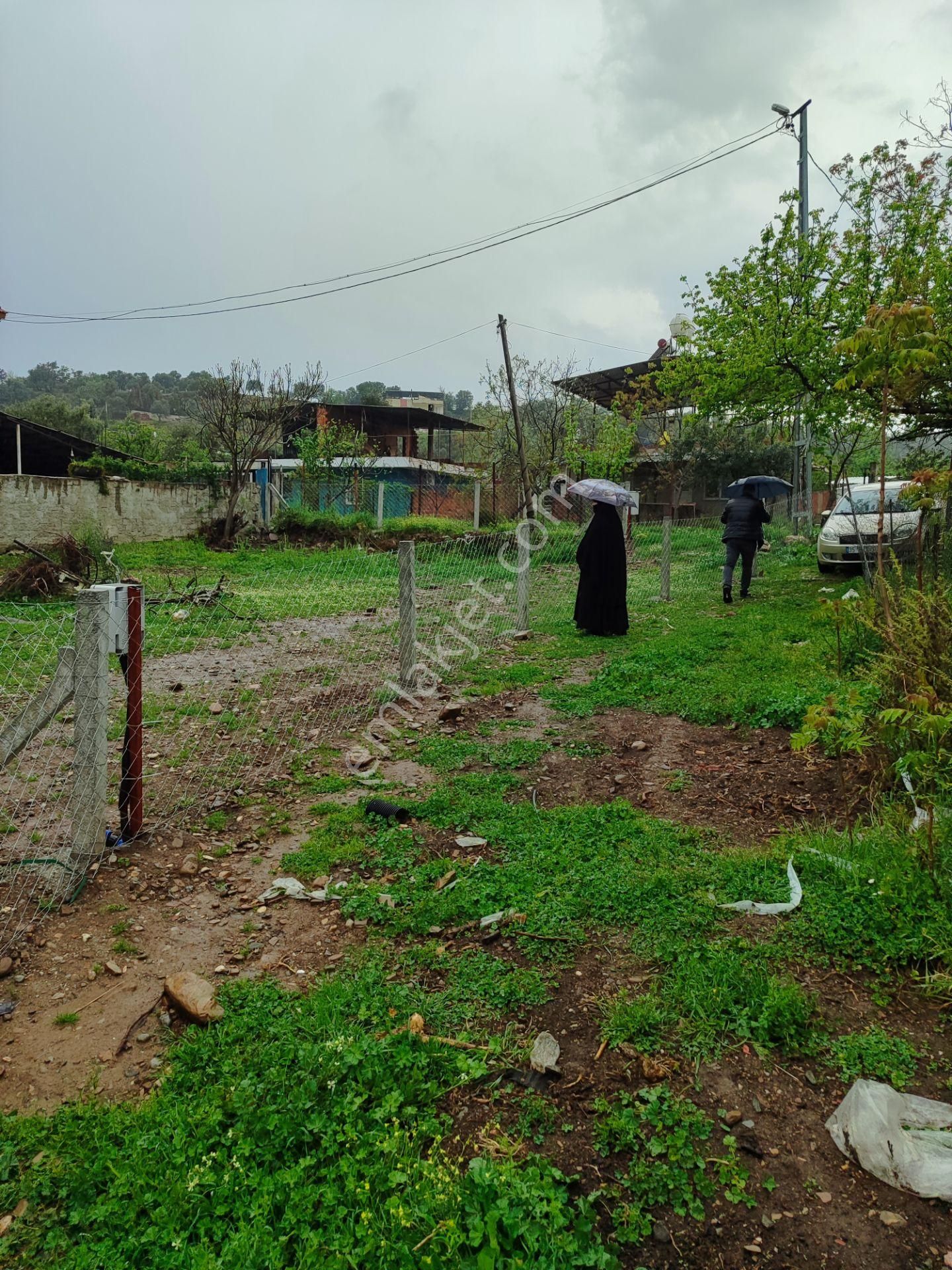 Kemalpaşa Armutlu Merkezine Çok Yakın Acil Satılık Bahçe - Görsel 2