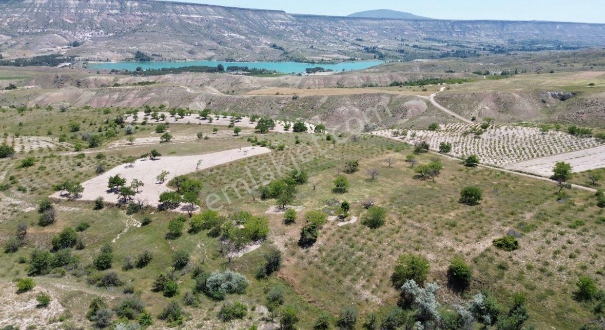 Mustafapaşada Satılık Tek Tapu Bağ&bahçe