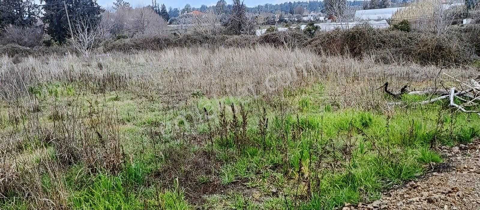 Özcan Gayrimenkulden Satılık İmarlı Tarla