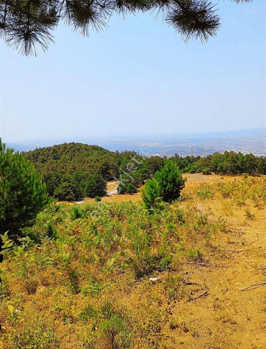 Osmangazi Gökçeörende Satılık Arsa - Görsel 23