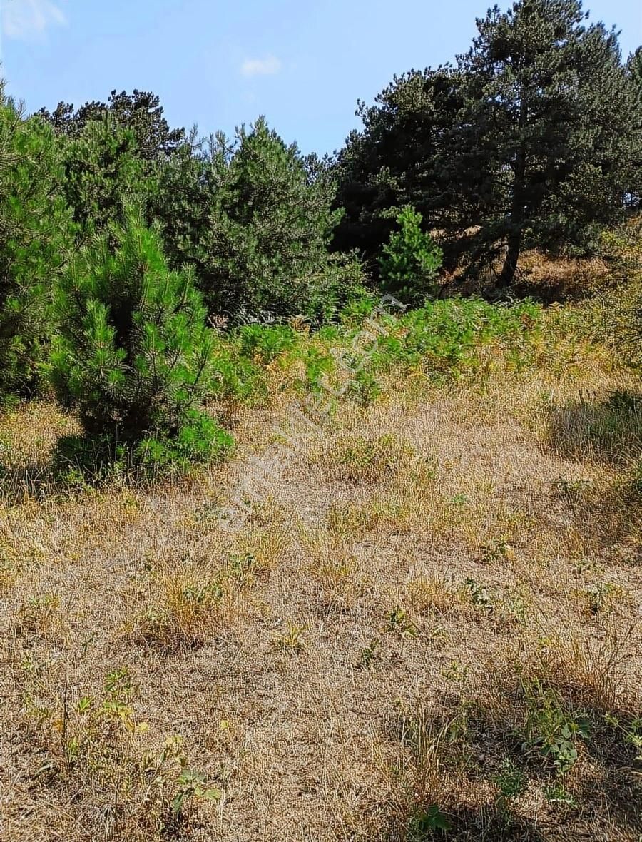 Osmangazi Gökçeörende Satılık Arsa - Görsel 24