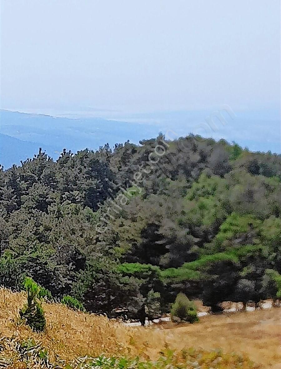 Osmangazi Gökçeörende Satılık Arsa - Görsel 26