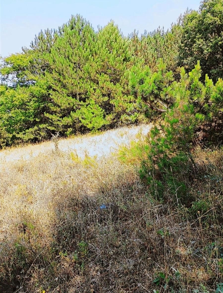 Osmangazi Gökçeörende Satılık Arsa - Görsel 11