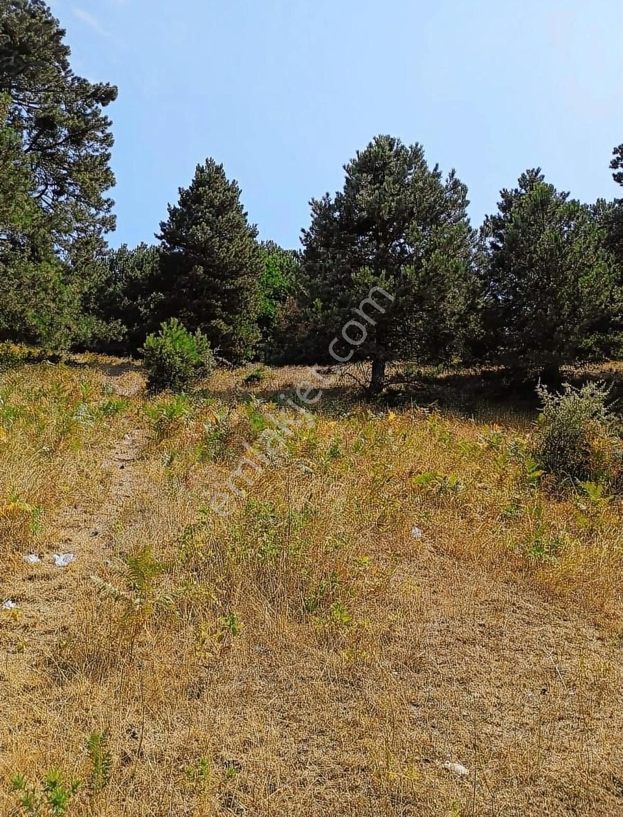 Osmangazi Gökçeörende Satılık Arsa - Görsel 7