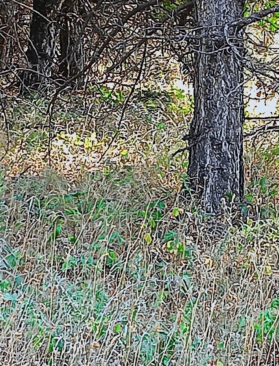 Osmangazi Gökçeörende Satılık Arsa - Görsel 13