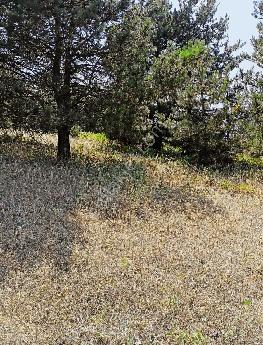 Osmangazi Gökçeörende Satılık Arsa - Görsel 4