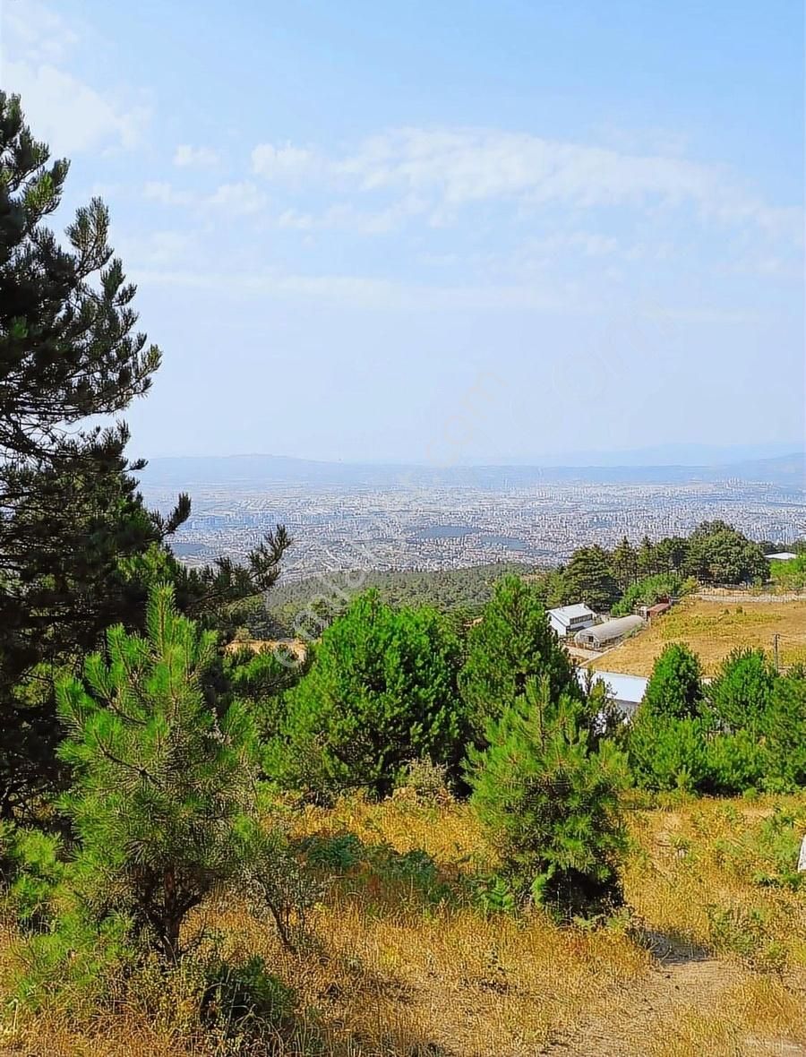 Osmangazi Gökçeörende Satılık Arsa - Görsel 3