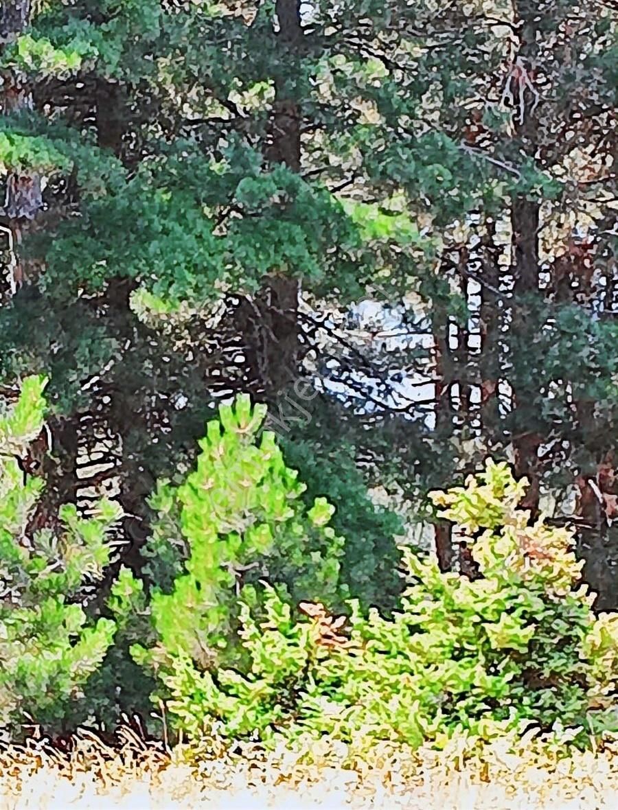 Osmangazi Gökçeörende Satılık Arsa - Görsel 25