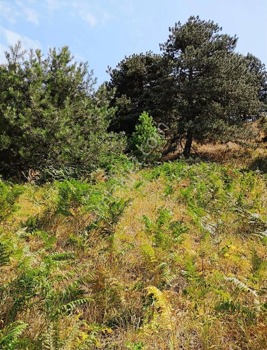 Osmangazi Gökçeörende Satılık Arsa - Görsel 9