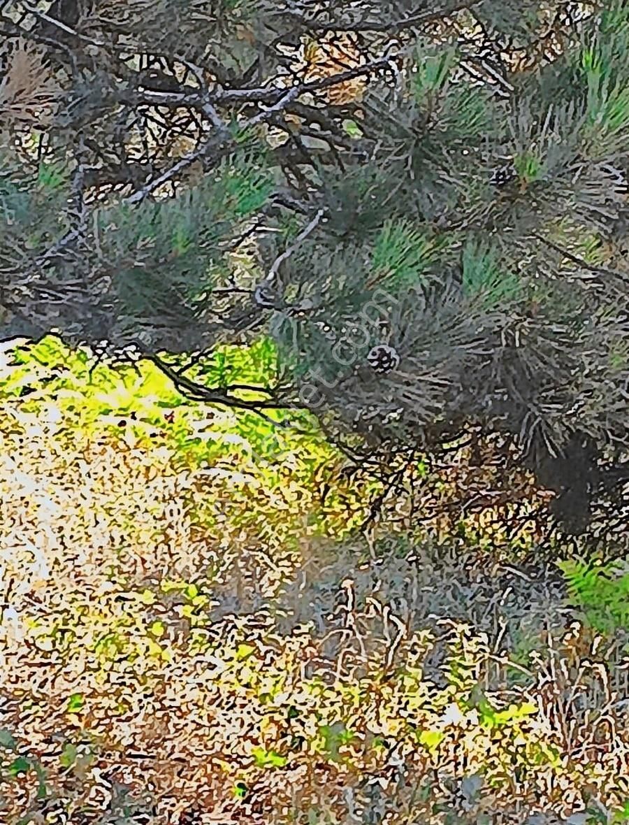 Osmangazi Gökçeörende Satılık Arsa - Görsel 28